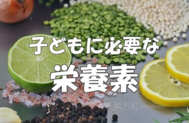 子どもに必要な栄養素をきちんと把握していますか？タンパク質とミネラルを積極的に摂ろう。